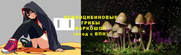 марки nbome Новозыбков