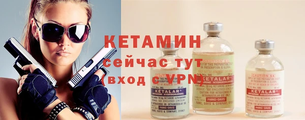 крисы Няндома