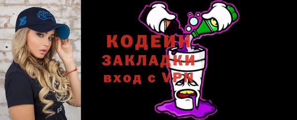 крисы Няндома