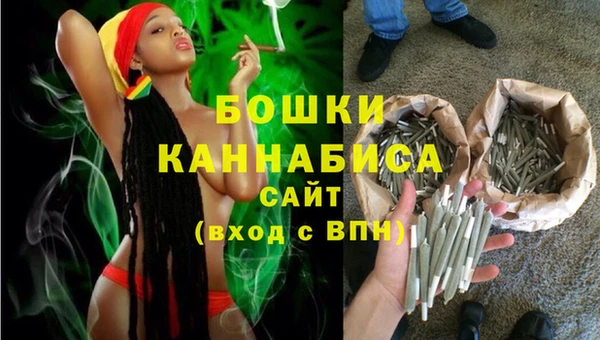 первитин Новодвинск