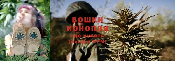 крисы Няндома