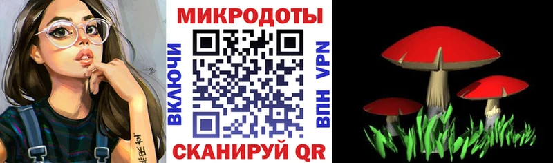 Галлюциногенные грибы мицелий  мега ССЫЛКА  Зерноград 