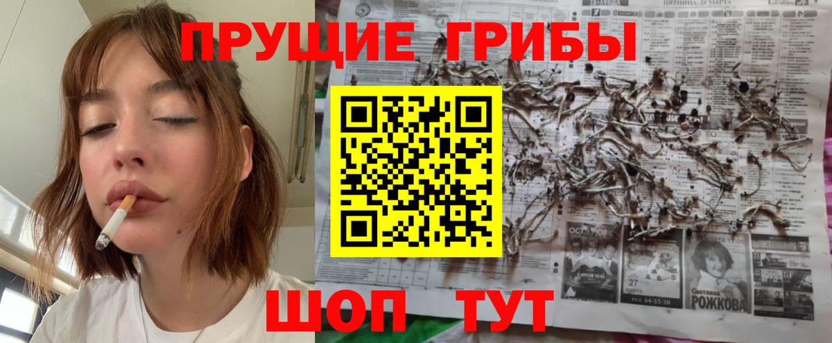 Зерноград  Галлюциногенные грибы прущие грибы  Псилоцибиновые грибы Cubensis  Вход с VPN 